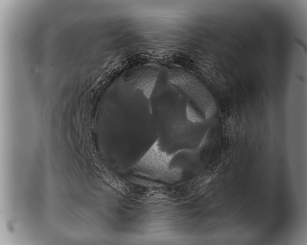 X0000100870913200806271109