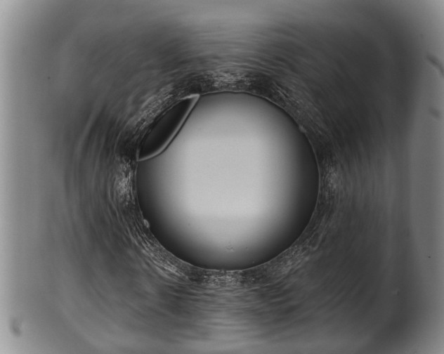 X0000100870914200806271109