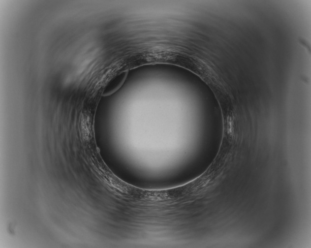 X0000100870915200806271109