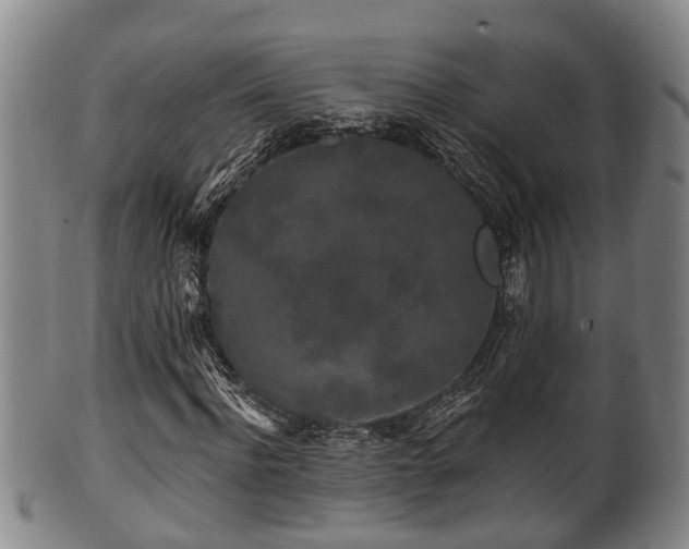 X0000100870916200806271109