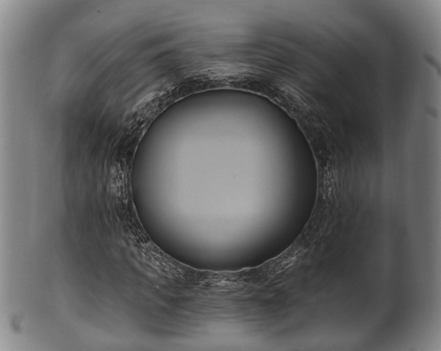 X0000100870917200806271109