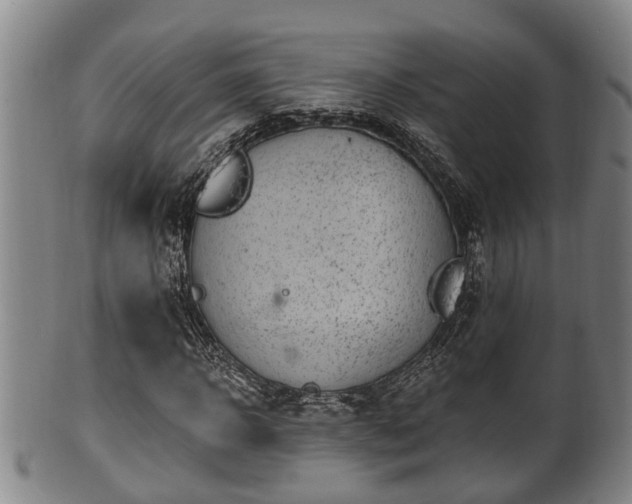 X0000100870918200806271109