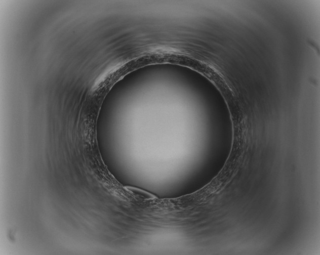 X0000100870919200806271109