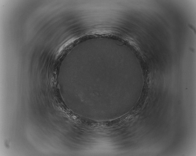 X0000100870920200806271109