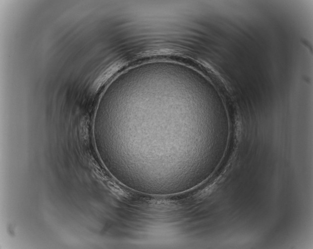 X0000100870921200806271109