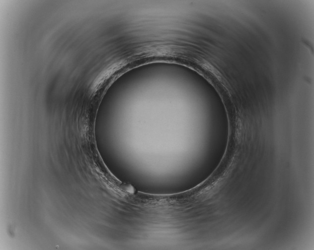 X0000100870922200806271109