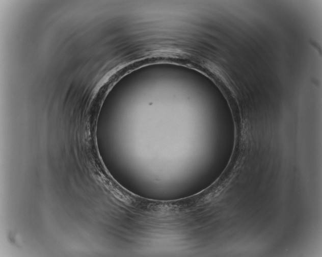 X0000100870923200806271109