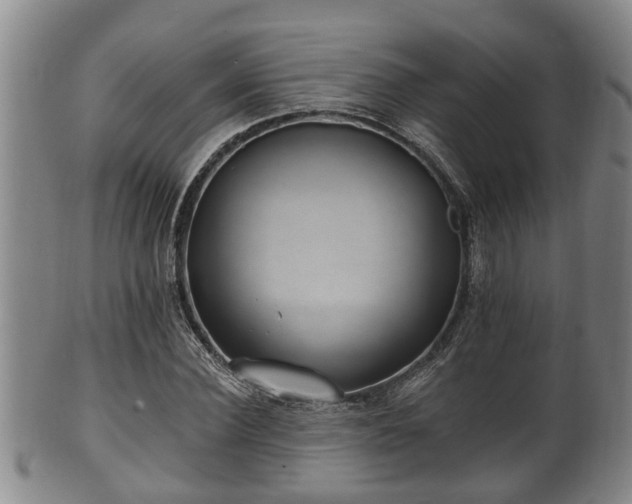 X0000100870924200806271109