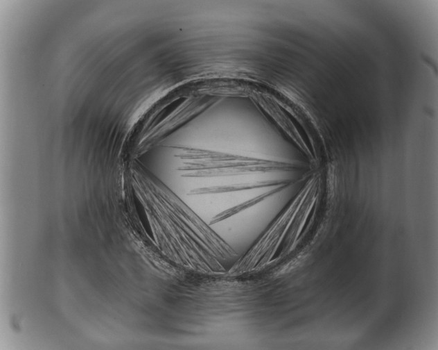 X0000100870925200806271109