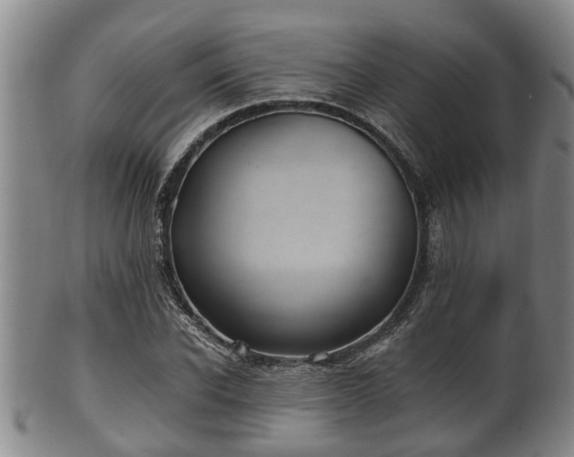 X0000100870926200806271109