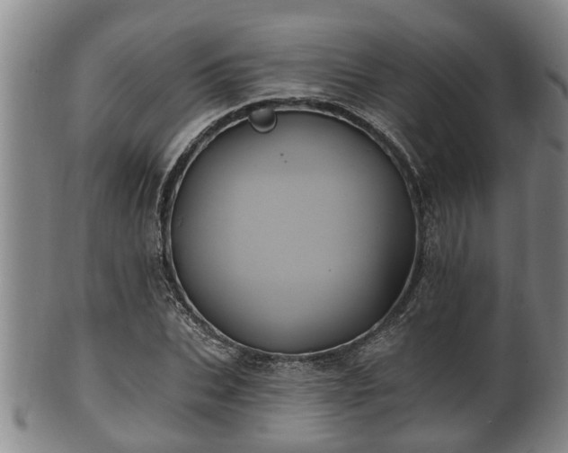 X0000100870927200806271109