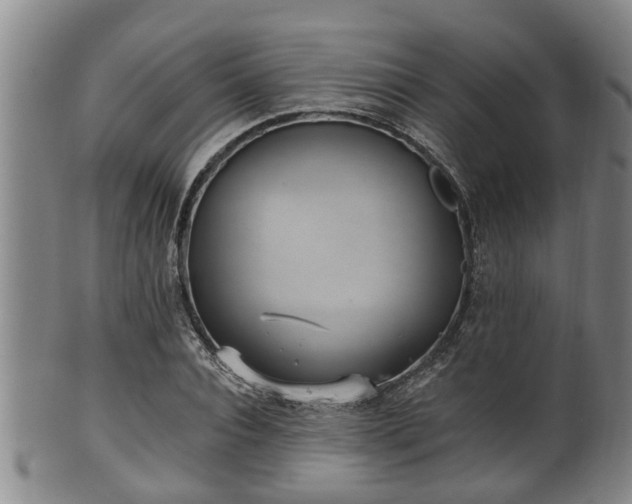 X0000100870928200806271109