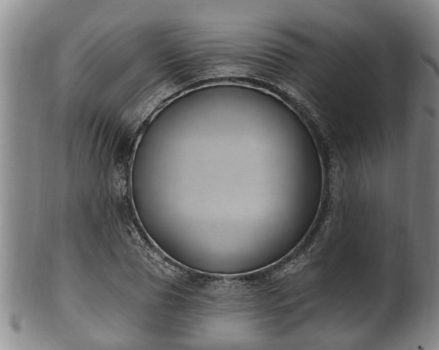 X0000100870929200806271109