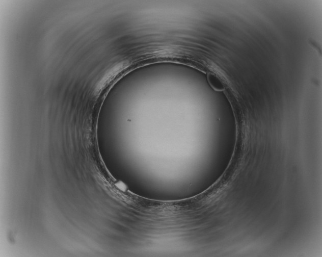 X0000100870930200806271109