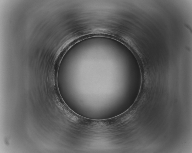 X0000100870931200806271109