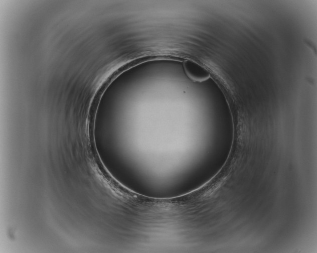 X0000100870932200806271109