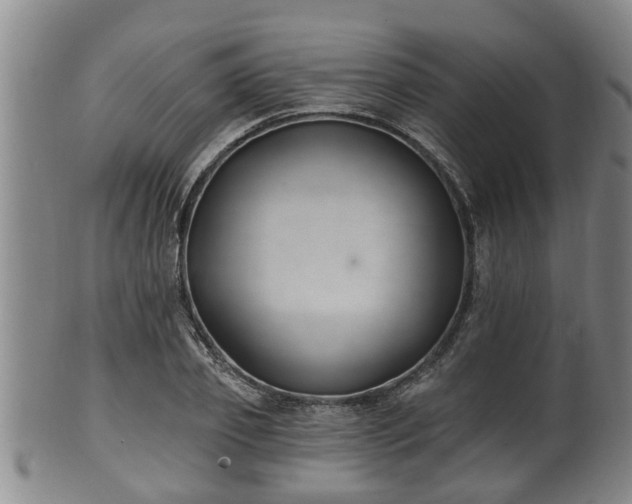 X0000100870933200806271109