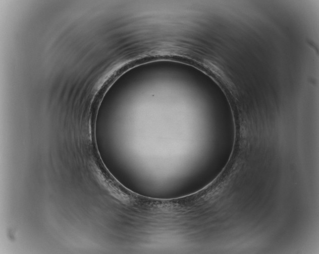 X0000100870934200806271109