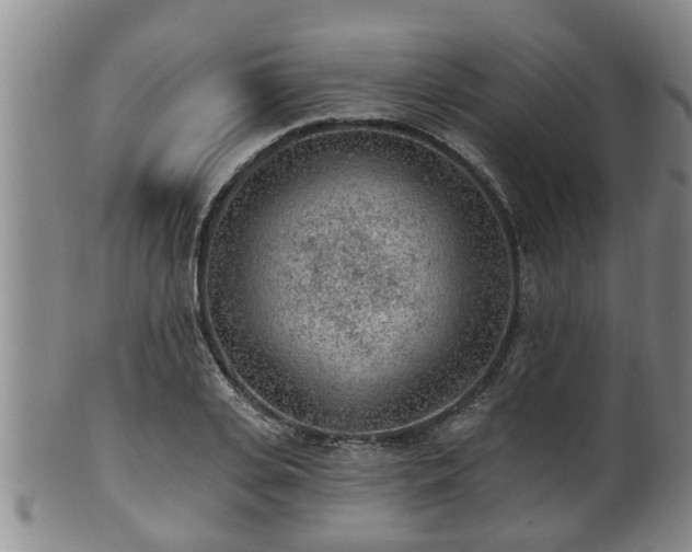 X0000100870935200806271109