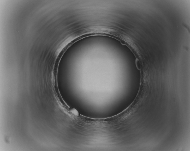 X0000100870936200806271109