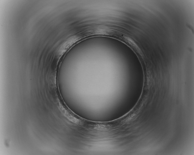 X0000100870938200806271109