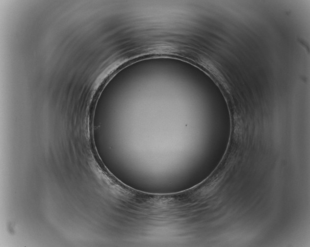 X0000100870939200806271109