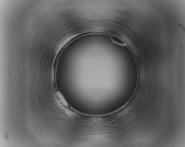 X0000100870940200806271109