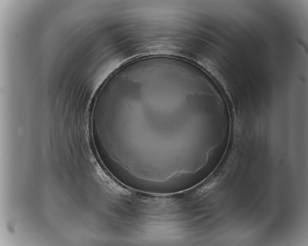 X0000100870941200806271109