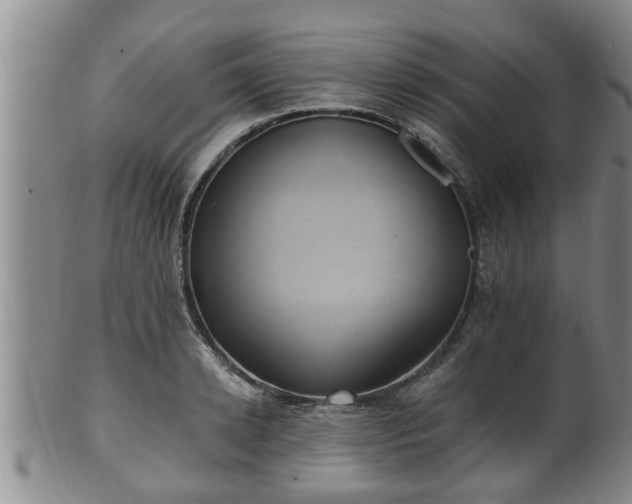 X0000100870942200806271109