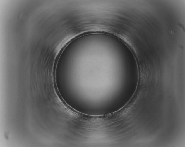 X0000100870943200806271109