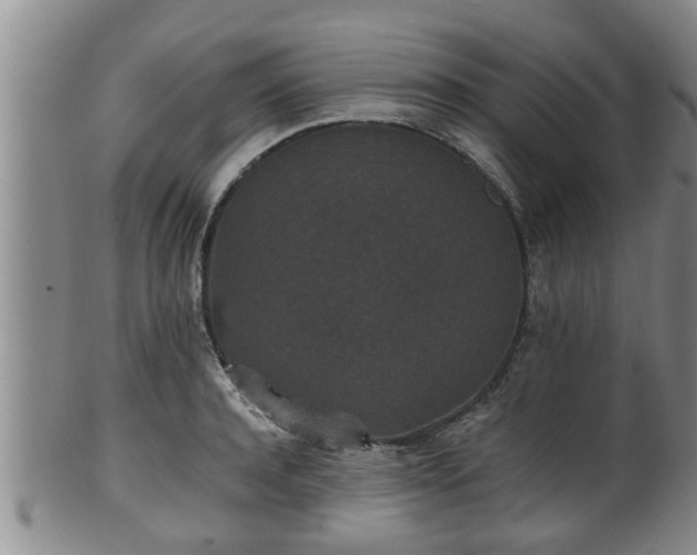 X0000100870944200806271109