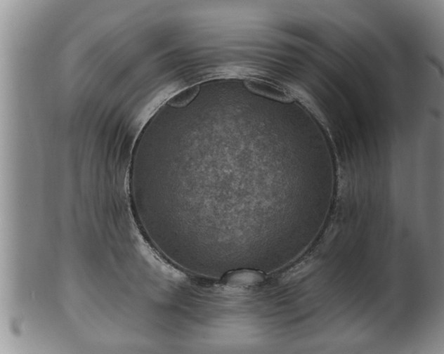 X0000100870946200806271109