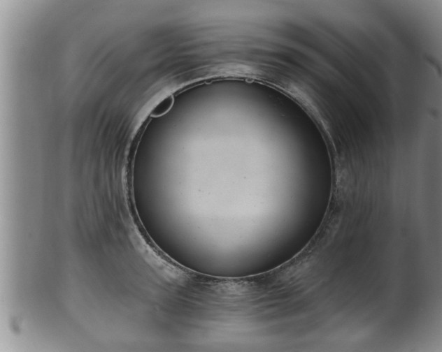 X0000100870947200806271109