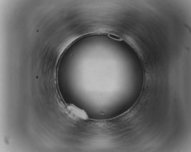 X0000100870948200806271109