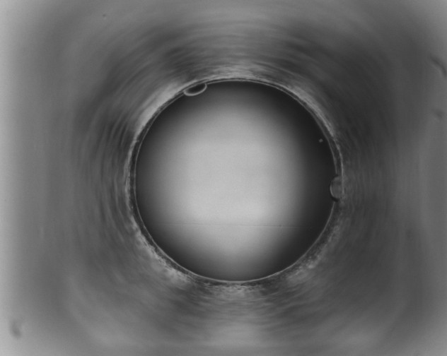 X0000100870949200806271109