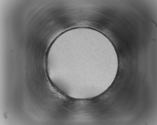 X0000100870950200806271109