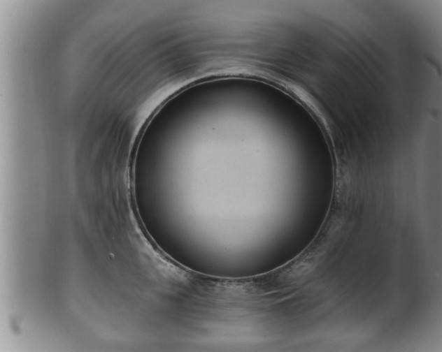 X0000100870951200806271109