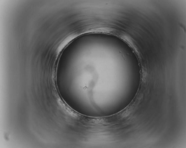 X0000100870952200806271109