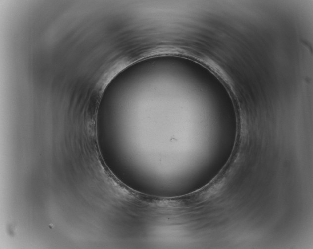 X0000100870953200806271109