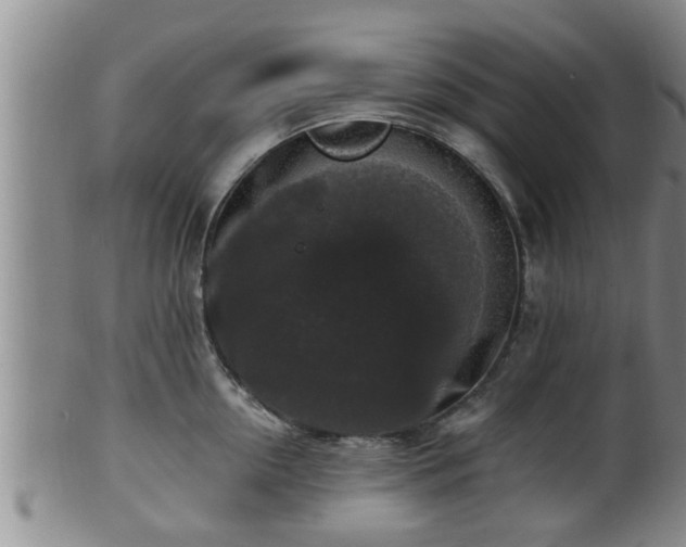 X0000100870954200806271109