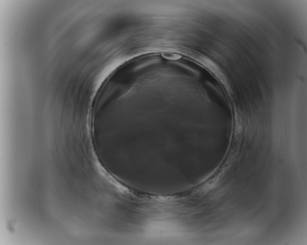 X0000100870958200806271109