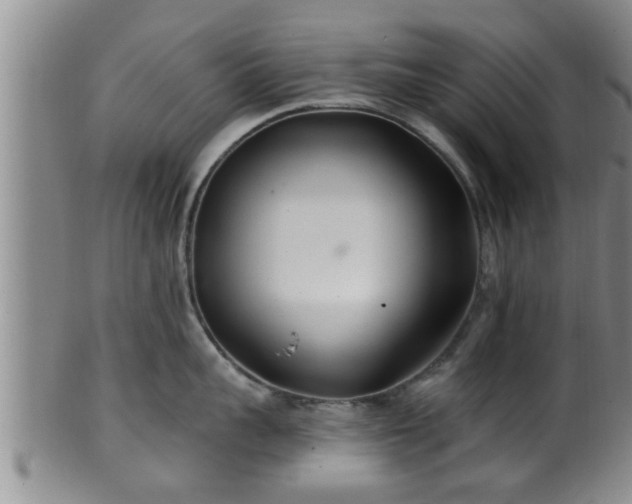 X0000100870959200806271109