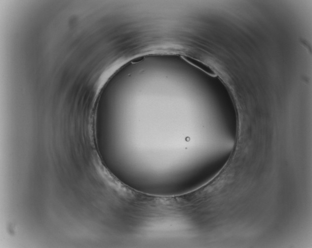 X0000100870960200806271109