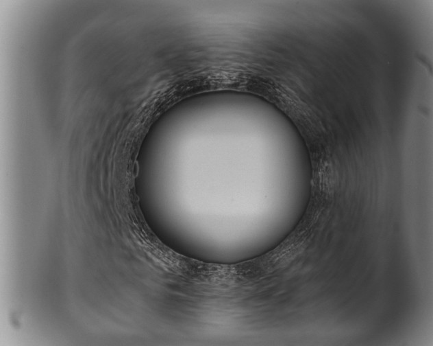 X0000100870961200806271109