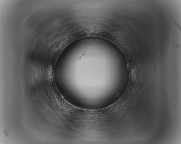 X0000100870963200806271109