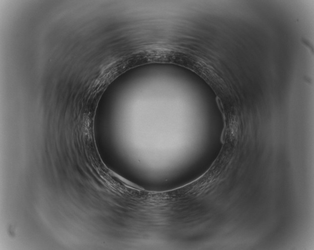 X0000100870964200806271109