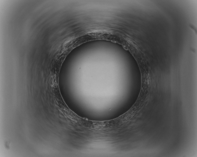 X0000100870965200806271109