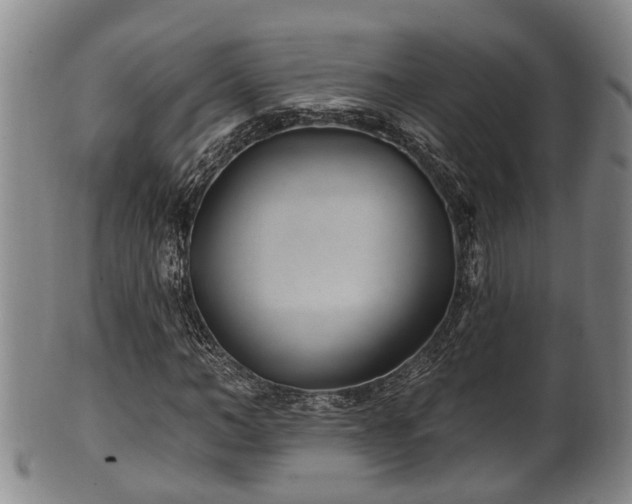 X0000100870966200806271109