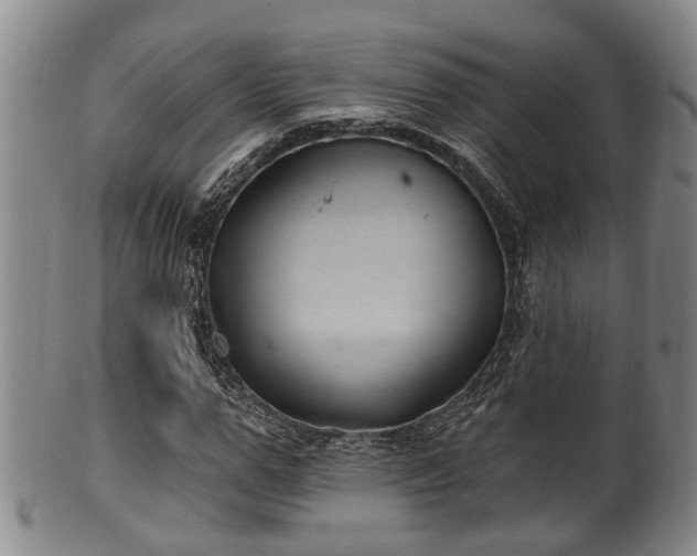 X0000100870967200806271109