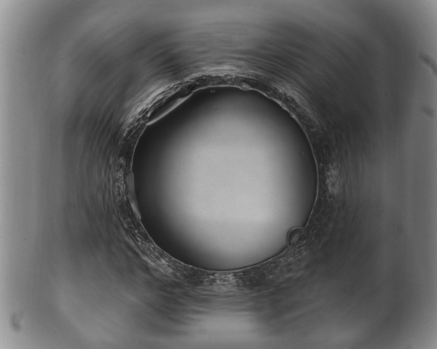 X0000100870968200806271109